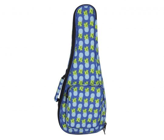 Ukulele bags online for sale